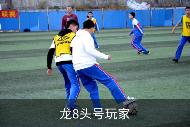 龙8头号玩家公司简介